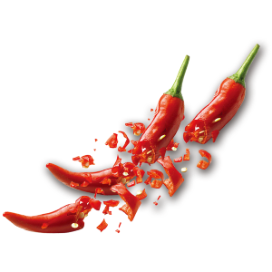 spice processing industry
